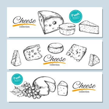Vector hand drawn banners. Cheese collection. Vector hand drawn illustration of cheese types . Isolated on white