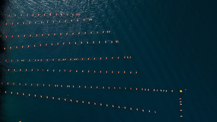 aerial view of mussels farm, Adriatic sea.