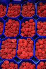 Raspberries on display