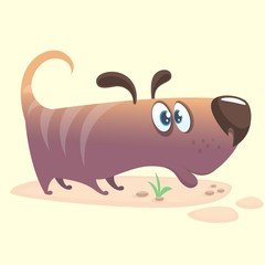 Cartoon Vector Illustration of Cute Purebred Dachshund.  Doggy icon. Isolated on white background