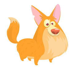 Cute cartoon vector drawing of dog head of Welsh Corgi breed. Image isolated on white