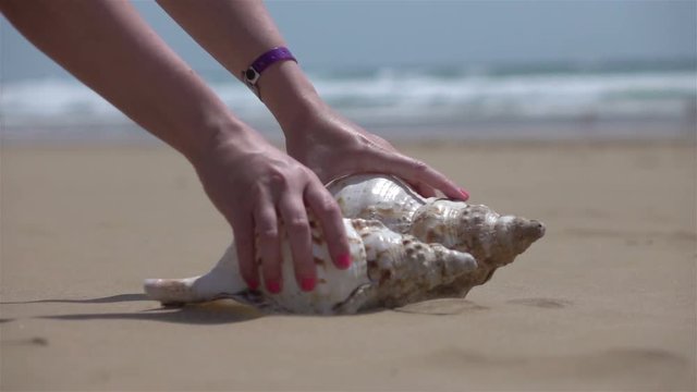 High quality video of woman picking shells by the ocean in real 1080p slow motion 250fps