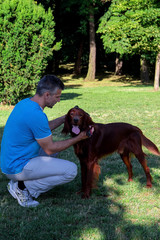 Men with red irish setter on walking in the park in summer.