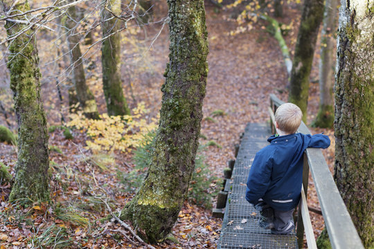 Boy standing on stairs in forest