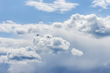 planes in the sky