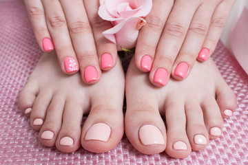 Hands with manicure, feets with pedicure. Female hands and feet on pink background top view. Result...