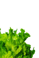 Salat