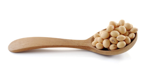soy beans close up isolated on white background