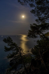 Fototapeta na wymiar Night scene over the ocean with moon