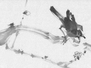 Bird on a cherry branch sumi-e ink painting