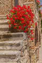 Terme Bagno Vignoni,  old thermal baths in the medieval village Bagno Vignoni, Tuscany, Italy - spa basin in the antique italian town
