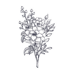 Hand drawn flower bouquet in sketch style. Vector plants