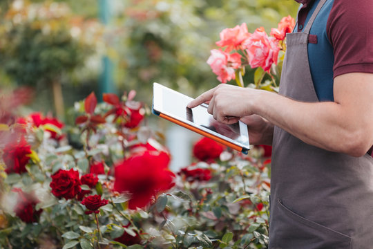 partial view of gardener using digital tablet while standing in greenhouse