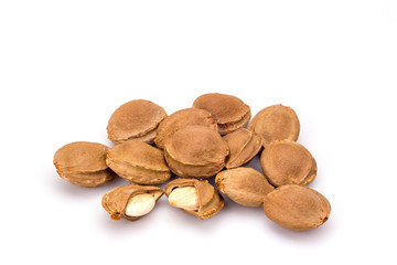 Apricot kernel