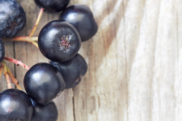 Aronia berries (black chokeberry) on wooden background. Top view with copy space