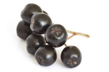 Aronia berries (black chokeberry) isolated on white background