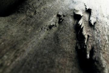 Dark and eroded driftwood