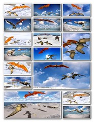 Velociraptor and pterodactyl 3d rendering © satori
