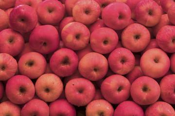 Red apples background