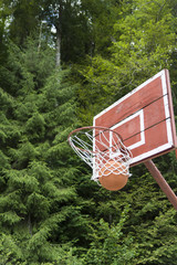 Basketball going through the hoop. Outside arena with trees in the background