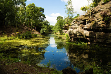 Lake in a wood