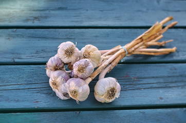 Garlic bulbs and garlic cloves on vintage wooden background. Healthy lifestyle. 