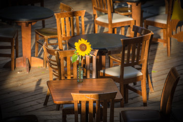 sunflower on the table