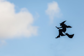 witch on the broom