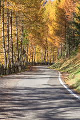 Autumn Road