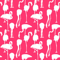 Seamless pattern with image of Flamingo on a pink background. Vector illustration.