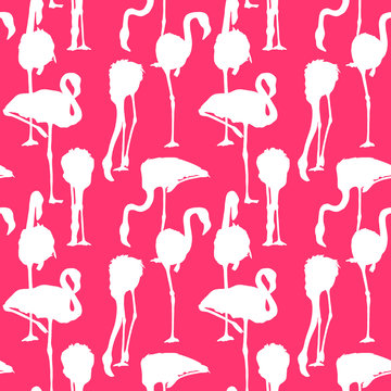 Seamless pattern with image of Flamingo on a pink background. Vector illustration.