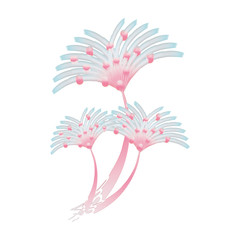 Beautiful flower design