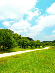 Fototapeta na wymiar 農道のある里山風景
