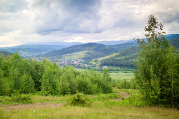 Fototapeta premium View of mountain forest tree & dramatic heavy blue sky. Carpathian Mountains, Ukraine