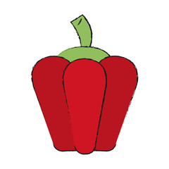 Colorful pepper doodle over white background vector illustration
