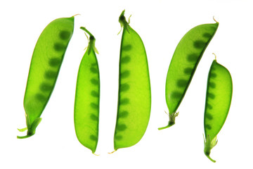 Kefe, Zuckerschote, Zuckererbse (Pisum sativum) Schoten isoliert vor weißem Hintergrund