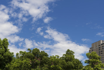 背景用　夏空　緑と青空とマンション　コピースペース