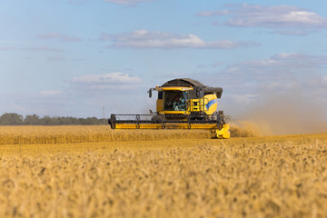 Yellow combine harvester on a wheat field with blue sky