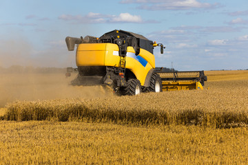 Obraz premium Yellow combine harvester on a wheat field with blue sky