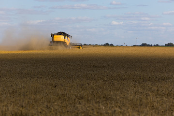 Yellow combine harvester on a wheat field with blue sky