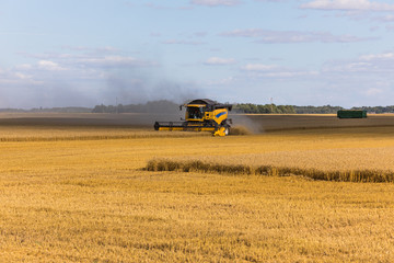 Yellow combine harvester on a wheat field with blue sky