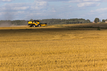 Fototapeta na wymiar Yellow combine harvester on a wheat field with blue sky