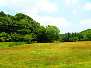 初夏の公園風景