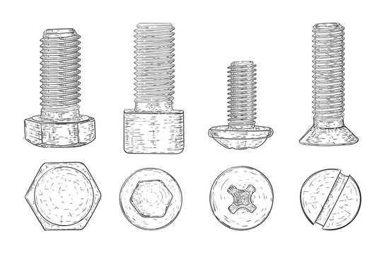 Metal bolts and screws. Hand drawn sketch