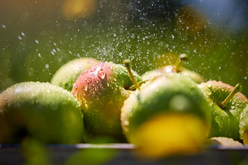 apples in basket in summer grass