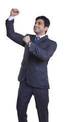 Businessman rejoicing