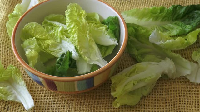 Fresh green lettuce in a salad bowl isolated on yellow background
