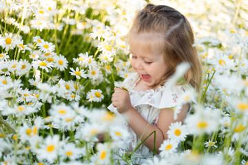 A little girl on a chamomile field