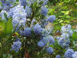 sun and rain in bourgogne