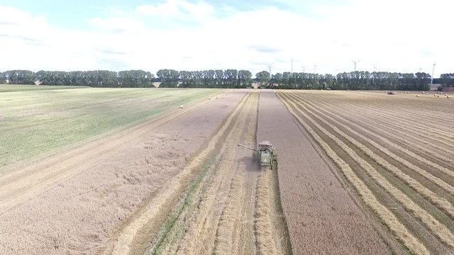 Geld Bargeld M&uuml;nzen und Scheine